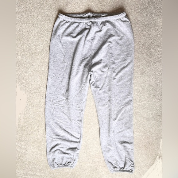 NEW Aerie OFFLINE OTT soft, COMFY! stretchy sweatpants size large, grey heather - Picture 9 of 10